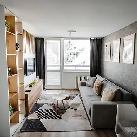 Ah Zizkova Apartament *